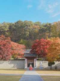너무 아름다웠던 올 가을 제천 배론성지🍁🤎