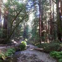 Discover the Famous Scenic Lake Tahoe Emerald Bay in Summer 