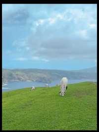 Batanes: The Idyllic Paradise of the North