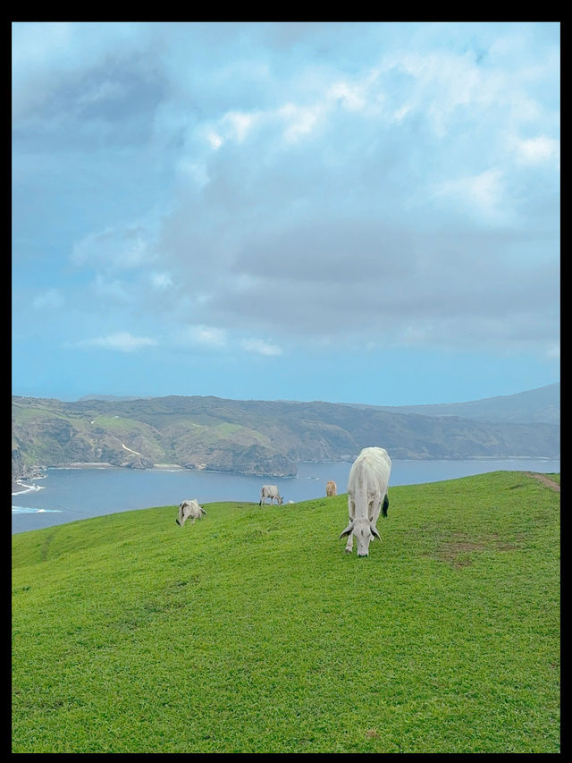 Batanes: The Idyllic Paradise of the North