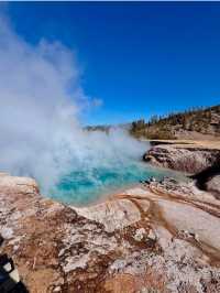 Yellowstone: Where nature Are Your New Best Friends 