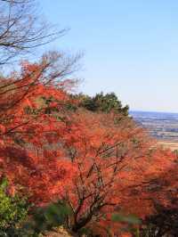 📍 【栃木】紅葉が素晴らしいお寺