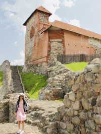 A Summer Afternoon at Vilnius Castle: Panoramic Views of Old Town Charm