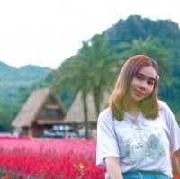 ฮอกไกโด ฟลาวเวอร์ พาร์ค - เขาใหญ่