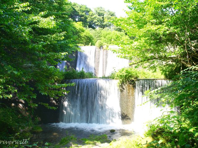 【鳥取県】ミネラルウォーター「いろはす」の源水！「木谷沢渓流」