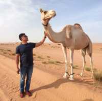 Wahiba Sands, Oman