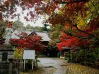千葉🇯🇵本土寺