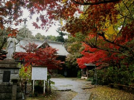 千葉🇯🇵本土寺