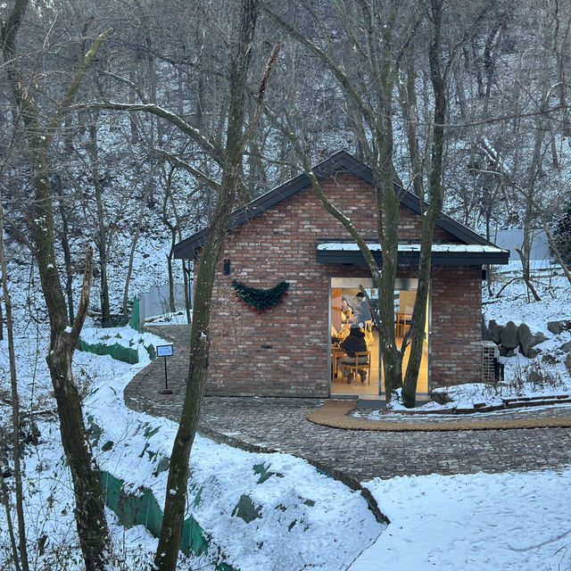 숲 속에 있는 대형 크리스마스 카페 꼭 다녀오세요🎄