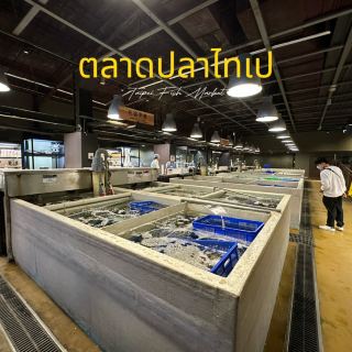台北魚市