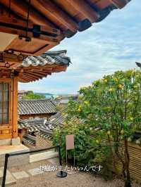 【ソウル旅】北村韓屋村・韓屋(ハノク)で過ごす優雅なひととき