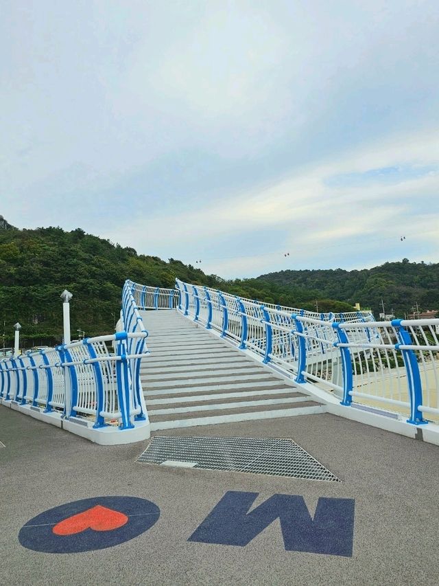 시원한 바다와 목포대교가 한눈에 보이는 이 곳 👀
