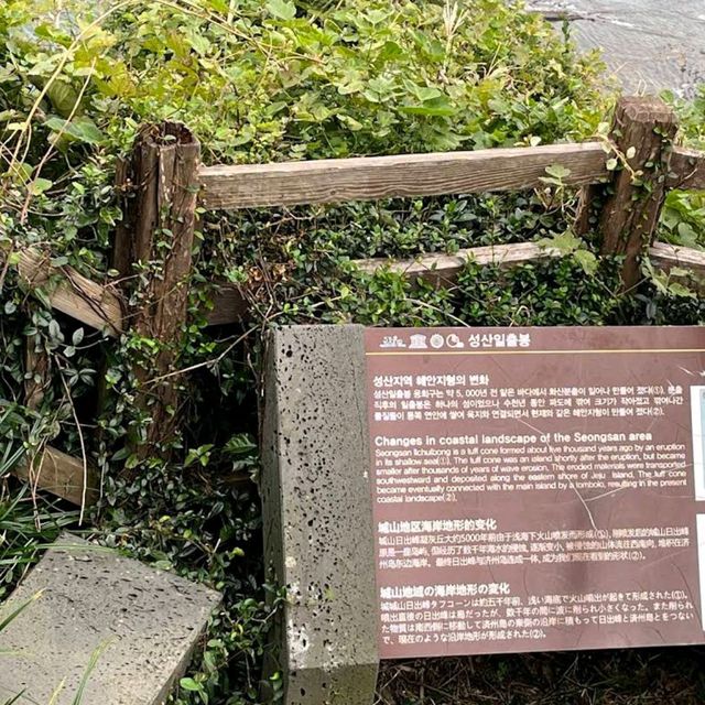 Seongsan Ilchulbong (Sunrise Peak)
