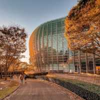 国立新美術館 The National Art Center, Tokyo