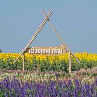 เป๋าตุงฟาร์ม นครสวรรค์