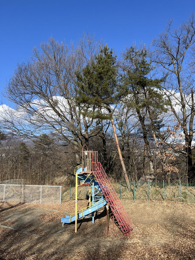 【小諸市🇯🇵】大型遊具で1日遊べる！とにかく広い大型公園🏞