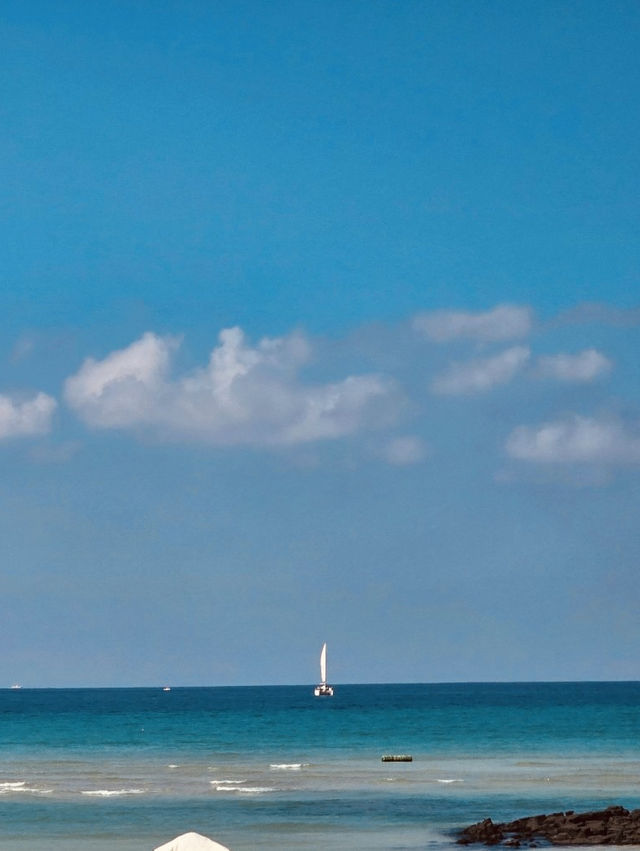 "A Coastal Treasure: Nature, Wind Turbines, and Nearby Gems"