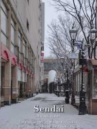 Sendai ในวันที่หิมะโปรยปราย~🌨️❄️🇯🇵