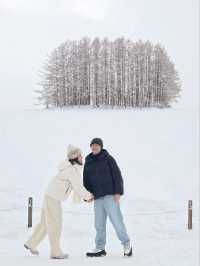 Hokkaido 2025 
