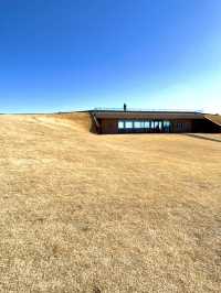 【伊豆×初春の旅】海、空を360°楽しめるビュースポット！富士山も見えます！