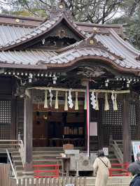 東京神社遊記：代代木八幡宮！