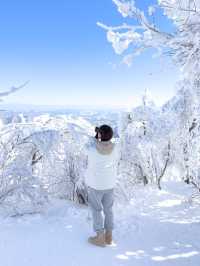 눈덮인 겨울 발왕산의 아름다운 설경❄️🤍