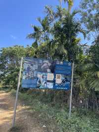 Bolaven Plateau Coffee (Lak 40)