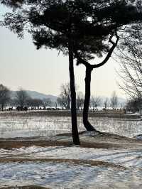❄️ 시원히게 탁트인 겨울의 자연풍경을 감상하기 좋은 겨울 여행지 ❄️