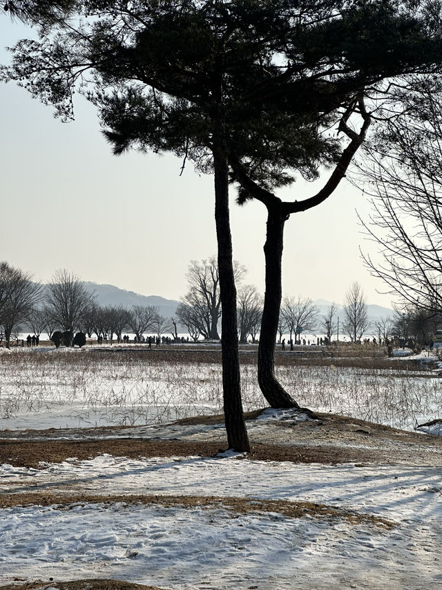 ❄️ 시원히게 탁트인 겨울의 자연풍경을 감상하기 좋은 겨울 여행지 ❄️
