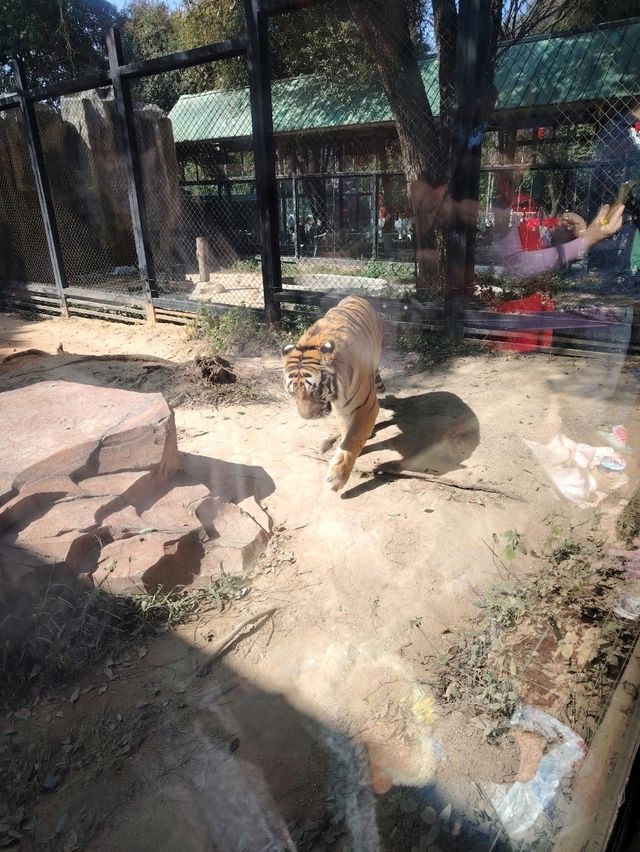 新春中山遊