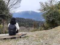 **Hike Through History: The Tsumago Trail**