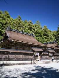 【和歌山】一生に一度は行くべき‼️熊野本宮大社で神聖なパワーをチャージしよう💪