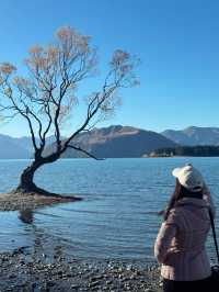 Strolling through New Zealand in Autumn 