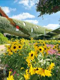 An awesome day spent at Dubai miracle garden 🪴 