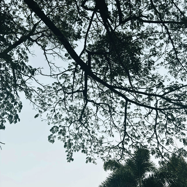 เทศกาลแสวงบุญขึ้นเขาวงพระจันทร์🌕✨