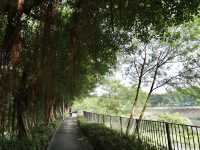 Hong Kong’s Hidden Wetlands: Our Nam Sang Wai Cycling Trip