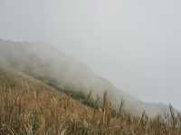 Into the Mist: The Enchanting Hike Up Sunset Peak
