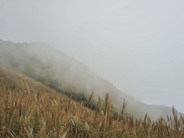 Into the Mist: The Enchanting Hike Up Sunset Peak