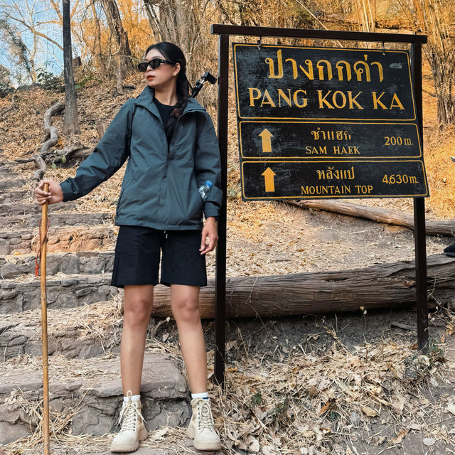 ภูกระดึงตึงทั้งตัว ⛰️