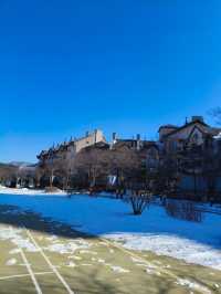 Discover Pyeongchang Alpensia Outside the Kids playground and Pet Zoo