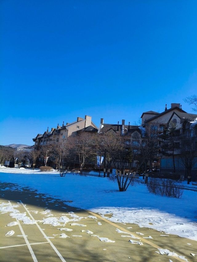 Discover Pyeongchang Alpensia Outside the Kids playground and Pet Zoo