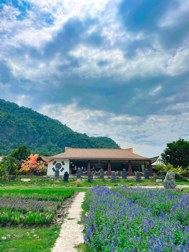 สวนดอกไม้เมืองกาญ สไตล์เกาหลี 🇰🇷