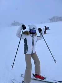Amazing skiing experience in Niseko