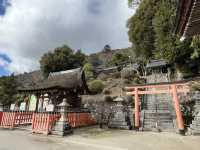 不自駕也能遊水上鳥居～白鬚神社