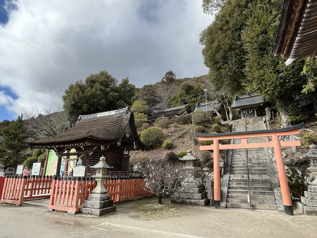 不自駕也能遊水上鳥居～白鬚神社