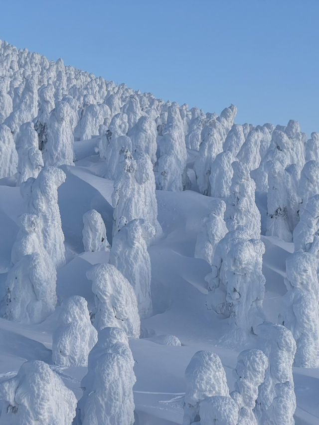 แพลนเดินทางไปเมือง Zao Onsen ดูปีศาจหิมะ