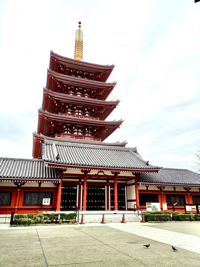 Timeless beauty of Sensoji
