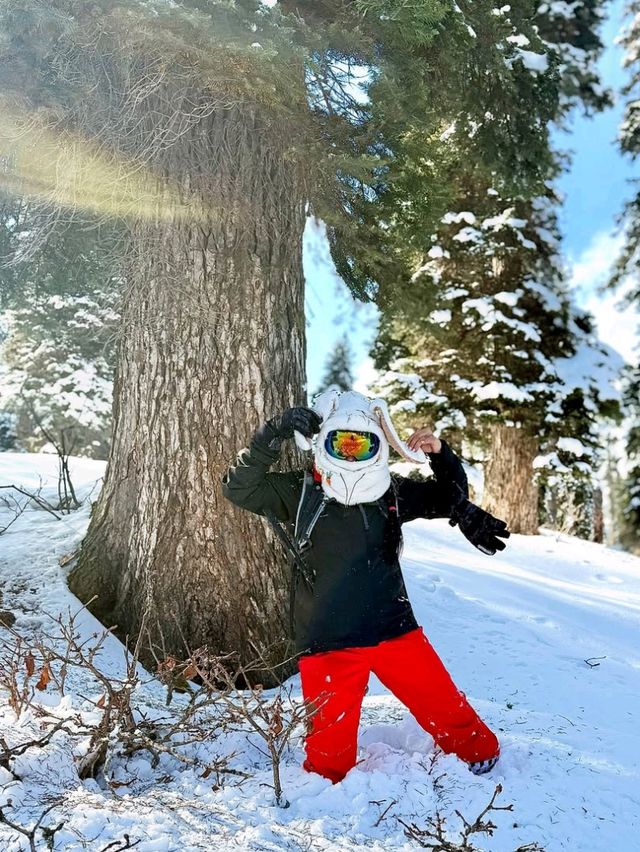 ⛷️ Discover Skiing in Gulmarg – The Ultimate Snow Adventure! ❄️🏔️