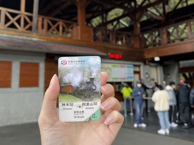 森呼吸🌱阿里山神木健行旅遊