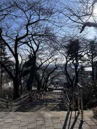 한국 최초의 서구식 공원 이리는 역사적 의미를 가진 인천 자유공원🇰🇷